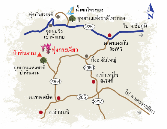 flower-map
